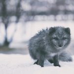 黄色仓库hsc6 p2tgud